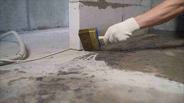 SJ Waterproofing Pros Emergency Waterproofing coverage map for Ecorse, MI and surrounding area